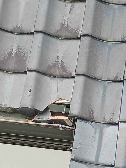 破損が生じた瓦を確認